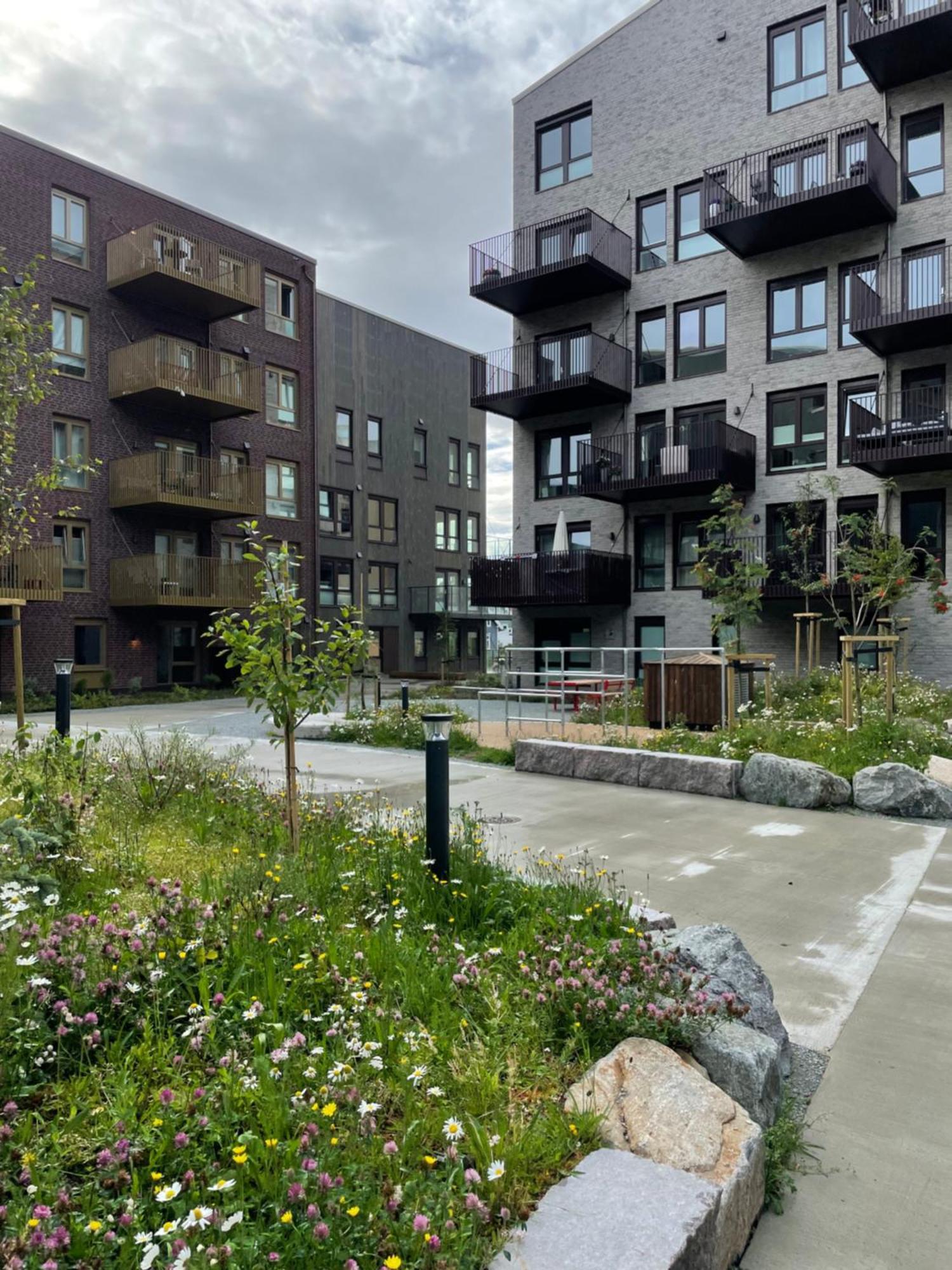 Lejlighed Ons 2024 Rent A New Build Flat In Ost *